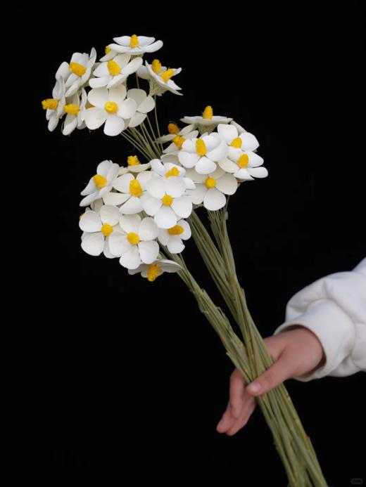 永生花紫罗兰1扎12支 商品图7