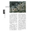 《美源：中国古代艺术之旅》 商品缩略图12