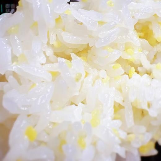 杞冠臻选  | 有机五常稻花香 大米 1kg 真空独立包装 商品图1