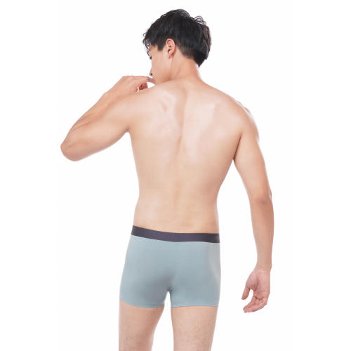 都市丽人男士内裤平角裤商务通勤60S莫代尔单品内裤FK04C8 商品图3