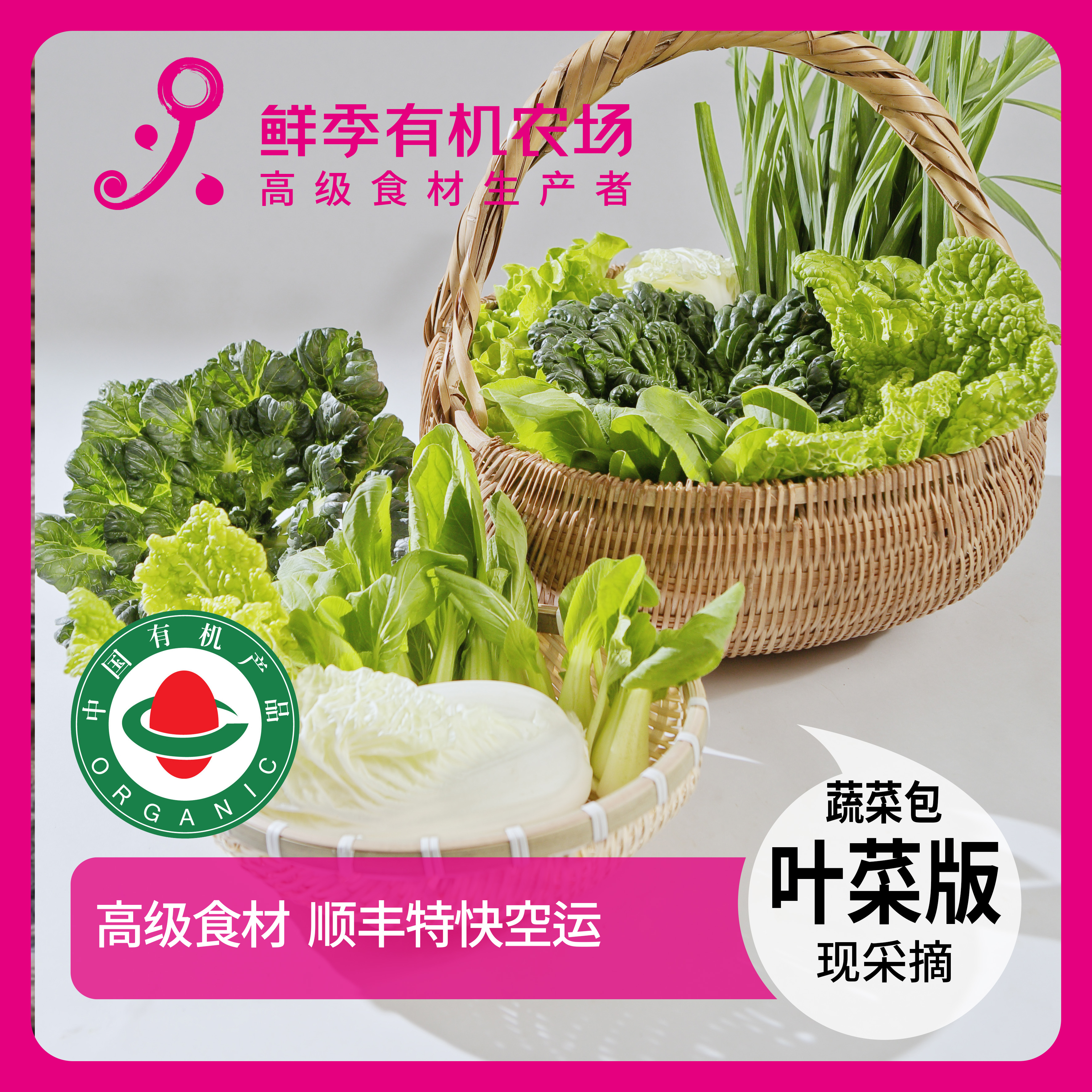 蔬菜体验包 叶菜版5斤菜 商品详情页有搭配明细