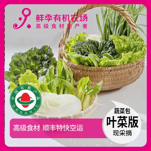蔬菜体验包 叶菜版5斤菜 商品详情页有搭配明细 商品图0