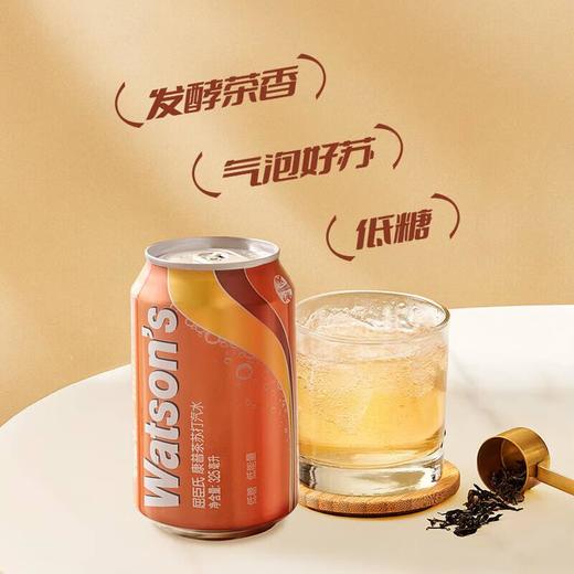 屈臣氏康普茶苏打汽水325ml 商品图1