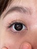 woolilens 特大黑/特小黑  半年抛 商品缩略图2