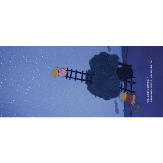 满天星 商品图1