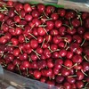 顺丰/京东直达【深度美味！大连国产车厘子】优选精品美早樱桃，当季应季水果，营养美味又健康，老人/孕妇/水果，新鲜水果大樱桃非智利进口 商品缩略图2