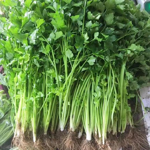 溧水生态蔬菜 仅配送河西海珀星晖小区 商品图8