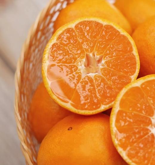 宫川蜜橘 |水果 商品图0