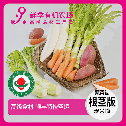 蔬菜体验包 根茎版 5斤菜 商品详情页有搭配明细 商品图0