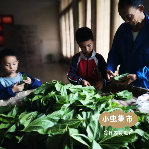 传统手工蚕丝被 | 合作农友生产，产自浙江桐乡，生产者：梅玉惠、于建刚 *【公平贸易农人定价】 商品图5