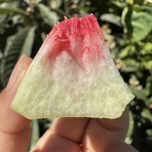 云南大理冬桃    4.5/8.5斤  （软硬两吃） 商品图5