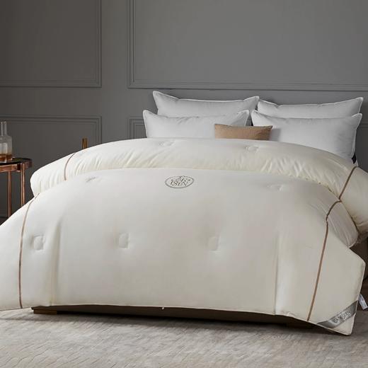 康尔馨五星酒店被子冬被磨毛a类被芯棉被冬季加厚保暖四季春秋被 商品图0