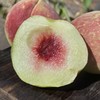 云南大理冬桃    4.5/8.5斤  （软硬两吃） 商品缩略图3