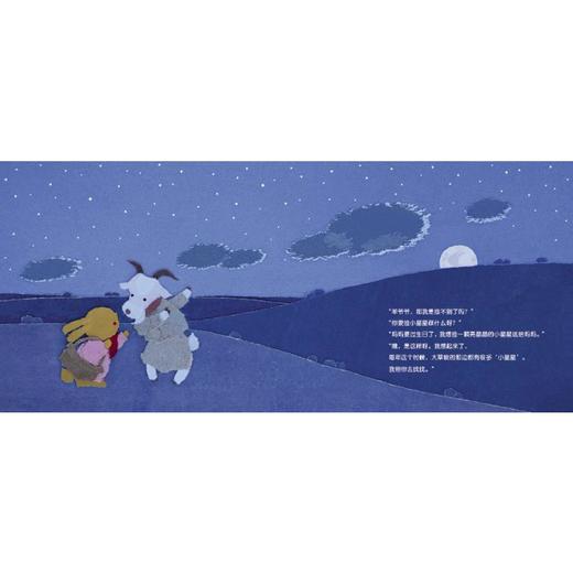 满天星 商品图2