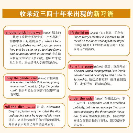 当代英语新词热词词典 商品图6