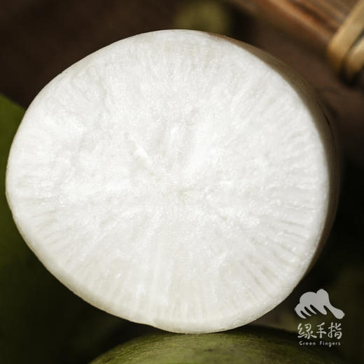生态萝卜（中通快递） | 合作生产*Ecological radish| Partner Production 商品图1