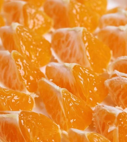 宫川蜜橘 |水果 商品图1