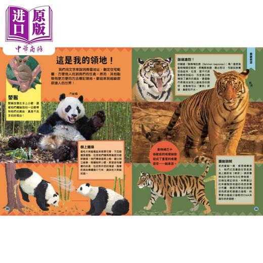 预售 【中商原版】DK动物沟通大法 動物溝通大法 50种奇妙的动物沟通方式 香港原版儿童知识绘本 科普知识百科图书 新雅知识馆  商品图4