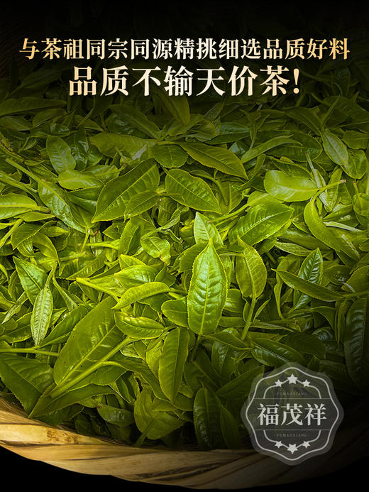 【锦绣】茶界神话 普洱界最高典范 2024年春茶云南临沧茶区凤庆锦绣茶园茶祖同宗同源普洱茶纯料生茶饼357g 商品图1