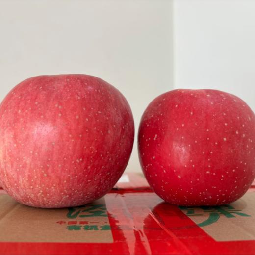 甘肃平凉泾川红富士苹果脆甜多汁小果24个/大果18个10斤装包邮 商品图0