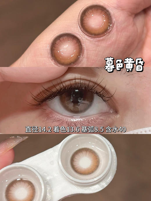 CN 白水乌龙/白茶森林/暮色黄昏/日落的甜 14.2mm 半年抛 商品图1