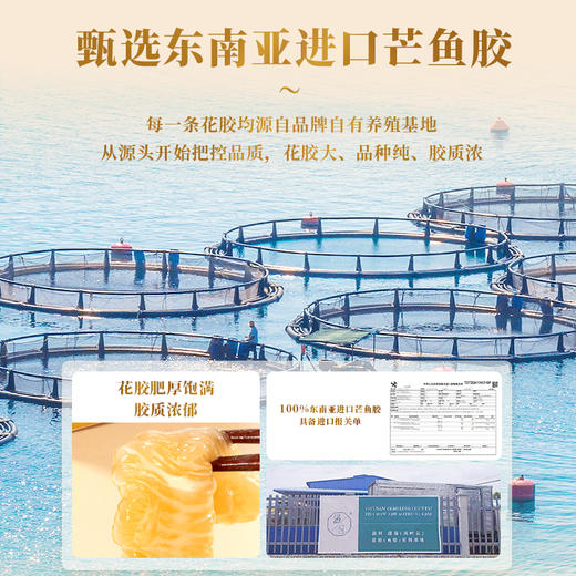 滋时杨枝甘露鲜炖花胶生椰燕麦花胶粥元气四珍豆乳椰椰花胶粥组合165g/碗F 商品图2