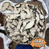 猪苓 常用规格切片 云南产中大片猪苓 商品缩略图1