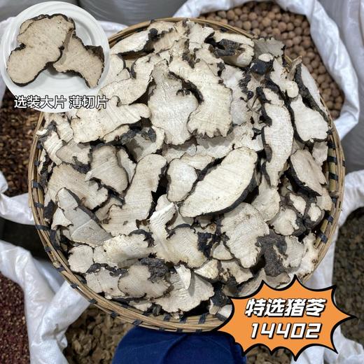 猪苓 常用规格切片 云南产中大片猪苓 商品图1