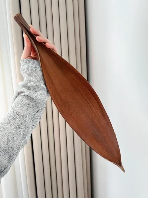 同城甄选小众可可叶干花叶材婚礼用花家庭插花家居软装摆件装饰品 商品图2