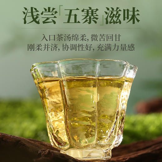 陈升号 2024年班章五寨357g（生茶） 商品图2