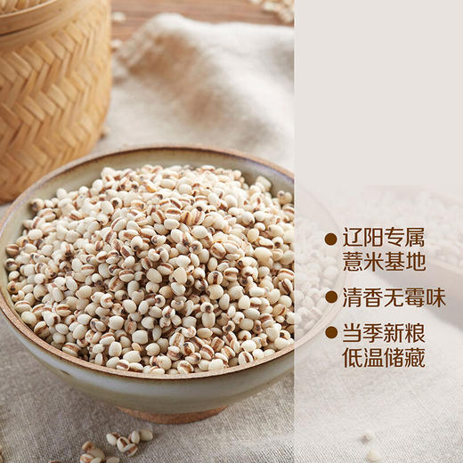 中粮初萃辽阳薏米1kg 商品图3