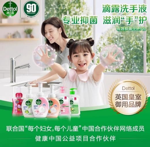 滴露健康抑菌洗手液（450g*2） 商品图3