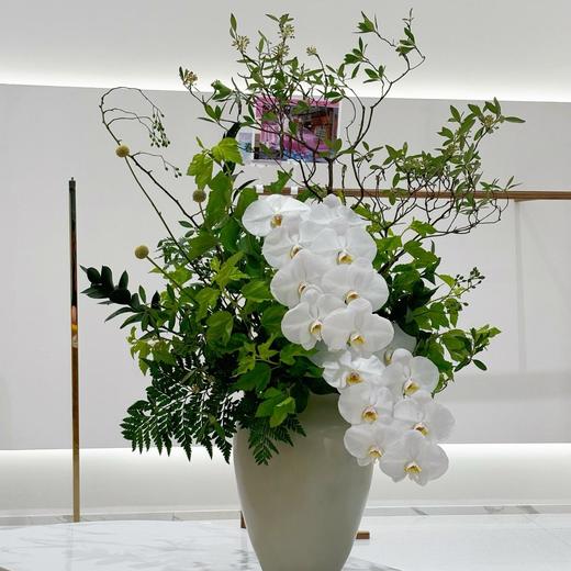 前台花瓶插花绿色系 商品图0