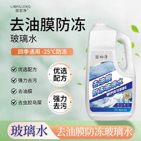 丽初净玻璃水防冻去油膜强力去污
