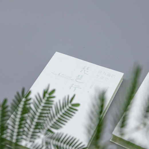 【作者签名本】琵琶行：诗与画的生命史（首部“琵琶行”诗书画同题鉴赏，领略白居易传世名篇的千载魅力） 商品图5