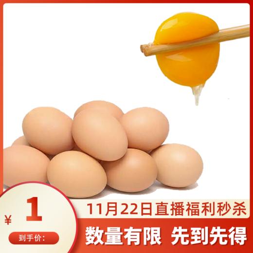 琼艺河南五谷土鸡蛋20枚装笨鸡蛋散养鸡蛋约800克 商品图0