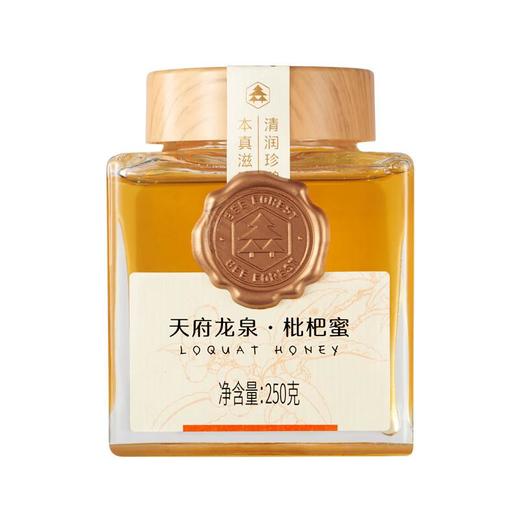 森蜂园-天府龙泉枇杷蜜250g 商品图2