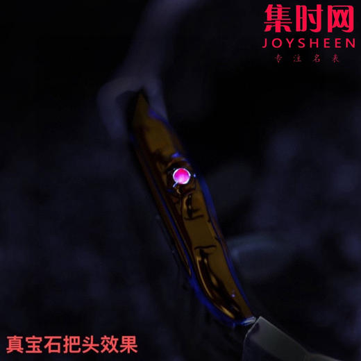 TW卡地亚猎豹系列 女士腕表 华丽而不羁，是猎豹所传达的美学风格 商品图8