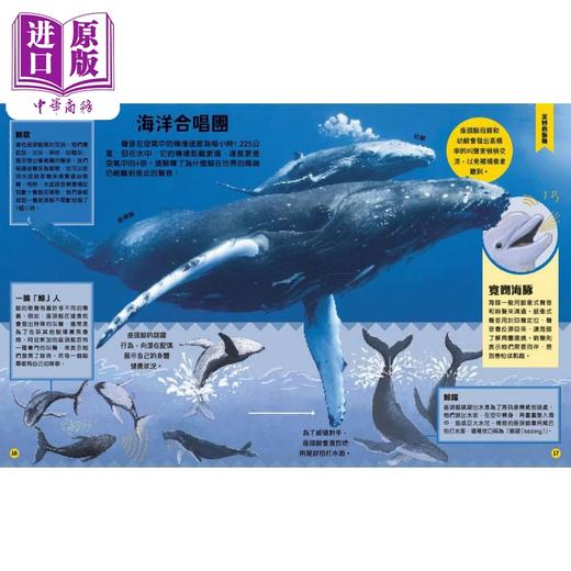 预售 【中商原版】DK动物沟通大法 動物溝通大法 50种奇妙的动物沟通方式 香港原版儿童知识绘本 科普知识百科图书 新雅知识馆  商品图3