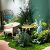 绿植植物造景花艺置景 商品缩略图3