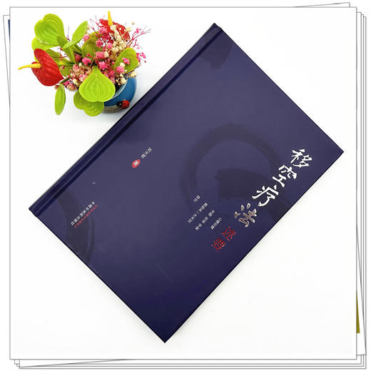 移空疗法述要 刘天君 著 中国中医药出版社 基础理论 中医临床 操作方法 书籍 商品图1