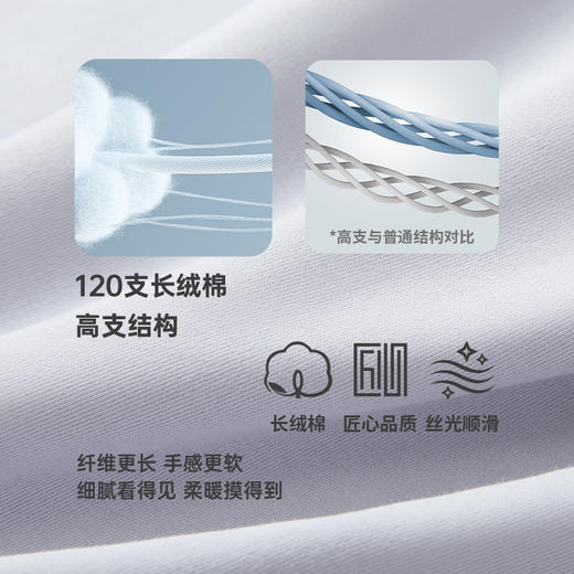 Threegun三枪【匠心系列-120支长绒棉】V领男士长袖上衣打底衫-24243A021 商品图8