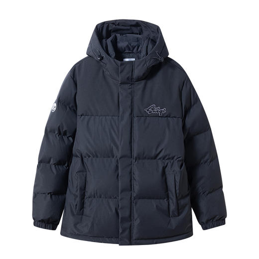【保暖舒适 品牌logo】赛琪保暖男士简约羽绒服254793 商品图2