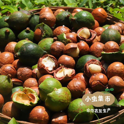 生态夏威夷果仁 200g/罐 | 合作农友生产，产自云南西双版纳，生产者：秦先荣 &【公平贸易农人定价】 商品图8