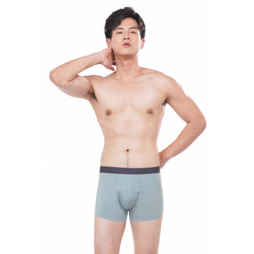 都市丽人男士内裤平角裤商务通勤60S莫代尔单品内裤FK04C8 商品图0