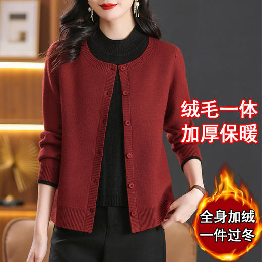 CC-103-26692半高领假两件加绒毛衣女2024新款秋冬时尚针织上衣内搭保暖打底衫 商品图0