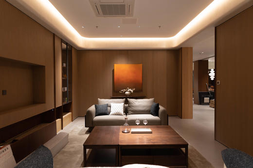 【现代风-CY206沙发】现代风/客厅/北美黑胡桃/实木/真皮/超纤皮/布艺 组合沙发 商品图1