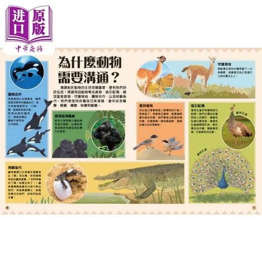 预售 【中商原版】DK动物沟通大法 動物溝通大法 50种奇妙的动物沟通方式 香港原版儿童知识绘本 科普知识百科图书 新雅知识馆  商品图2