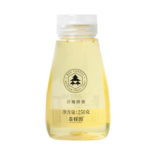 森蜂园-洋槐蜂蜜挤压装250g 商品图0