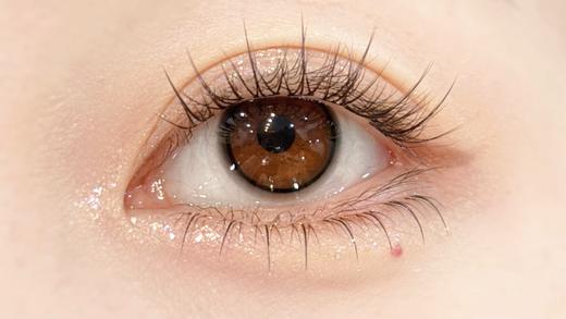 Hanawink半年抛·小baby黑·14.0mm超小着色·2片 商品图1